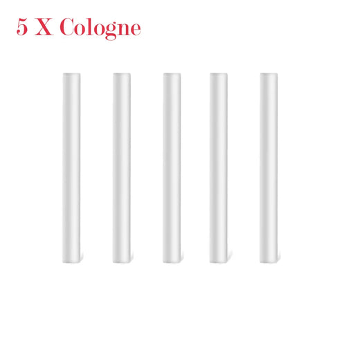 Diffuseur Parfum Grille Aération Voiture | Fragrance 30 Jours — AUTOZENITH